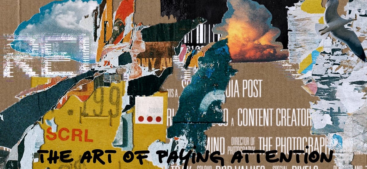 the art of paying attention